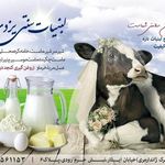 لبنیات سنتی یزدی
