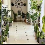 موسی سعادتی مقدم