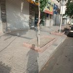 ایستگاه اتوبوس گلدیس 19