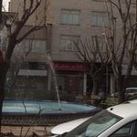 گالری شاپرک