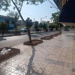 ایستگاه اتوبوس گلدیس 19