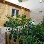 کلینیک و پت شاپ پرشین پت