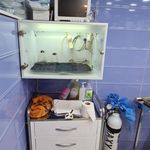 کلینیک و پت شاپ پرشین پت