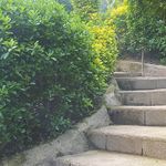 غذای محلی خاله مرضیه