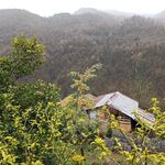 غذای محلی خاله مرضیه