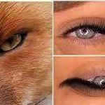 سالن زیبایی رابیا