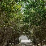 مجتمع تفریحی باغ دزک