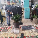 آرایشگاه مروارید