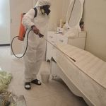 شرکت سمپاشی شیمی گستر