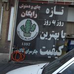 جگرسرای کاکتوس