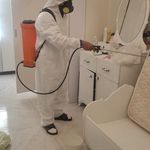 شرکت سمپاشی شیمی گستر