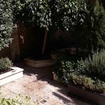 طراحی گل و گیاه • آبیاری قطره ای و آبنما