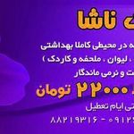 اپیلاسیون ناشا