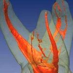 مرکز تخصصی دکتر نبی زاده