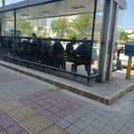 ایستگاه اتوبوس حر 15