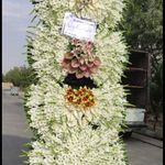 گل فروشی دنیز آنلاین (شعبه 2)