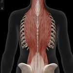 ماساژدرمانی تخصصی مهرنواز،تستهای ارزیابی