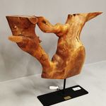 تولید کننده انواع میز با ریشه درخت