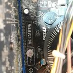 مسعود ارض اقدس