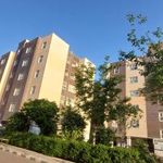 مجتمع مقدس اردبیلی