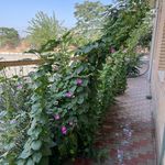 مرکز آموزش فنی و حرفه ای شماره ۷