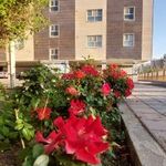 مجتمع مقدس اردبیلی