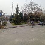 پارک میخک