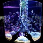 آکواریوم اصفهان