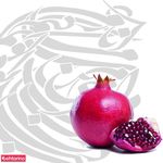 رستوران و تهیه غذای خانگی انار