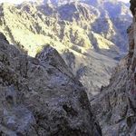 منطقه شکار ممنوع سید مرتضی