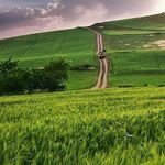 اسپیــــلی