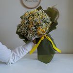 گالری گل قاصدک