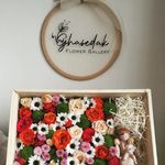 گالری گل قاصدک