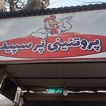 عمده فروشی مرغ پر سپید