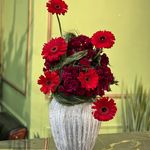 گلفروشی بلومی جهانشهر