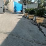 اتو سرویس درختی