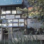 دکتر نوشین ناصری
