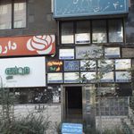 دکتر نوشین ناصری
