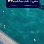 بنفشه سوییم