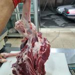 سوپر پروتئین سیاوش