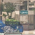 سالن D5 میوه و تره بار