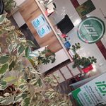 نمایندگی بیمه البرز شیراز   محمدی