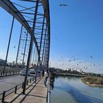 پل شهید علی هاشمی