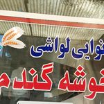 نانوایی لواشی خوشه گندم(حسین زاده)