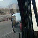 امداد خودرو یدکش خودروبر جرثقیل جنوب