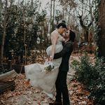 عکس و فیلم سنیک