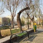 کلینیک دندانپزشکی بهجت