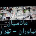 واهاگن زیگفرید ماناس