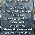 فشیال و اسکالپ زن روز