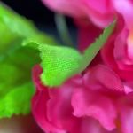 سالن زیبایی سیندال